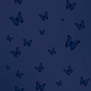 Meet your Posher, Kylie